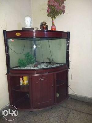 Corner fish tank for sale with white pebbles