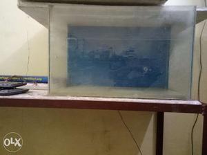 Fish aquarium, filter, cap