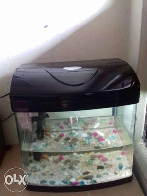 Fish tank imported 6 month usage
