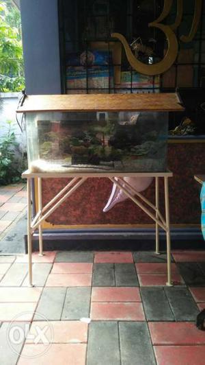 Fish tank with iron stand for sale