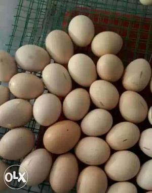 For 1 egg 30 rupees