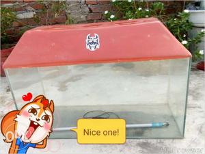 Good condition to aquarium