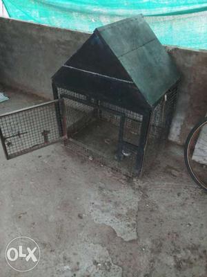 Green Steel Dog Cage