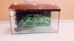 Rectangular Brown Hood Fish Tank