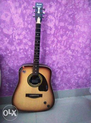 Attractive Prize GIvson Guitar