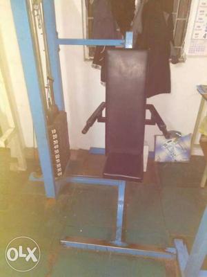 Black And Blue Exercise Equipment