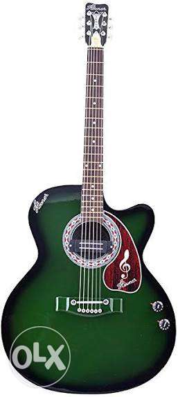 Hovner Venus Accoustic Guitar