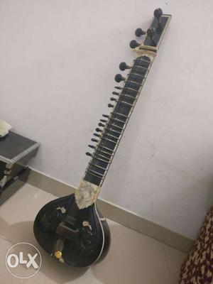 Sitar Musical Instrument