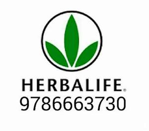 50 % * DISCOUNT HERBALIFE PRODUCTS = . New Delhi
