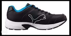Men puma for /-