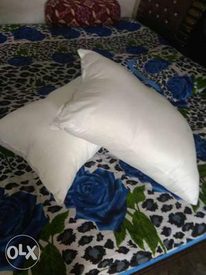Sell my comfort pillow only 2 piece mo..6