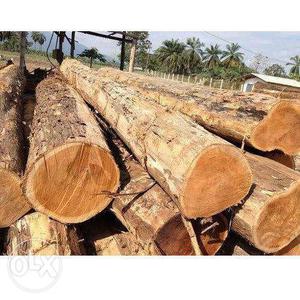 Teak wood Sale