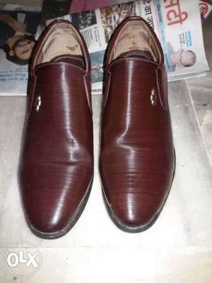 formal shoe sized 8.