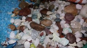 Aqurium stones at just rs 160 per kg