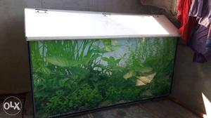 Fish tank length - 76 cm / 30 inch width - 31 cm / 12 inch