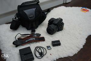 Sony Alpha SLT-AMP Digital SLR Camera - Black (Kit w/