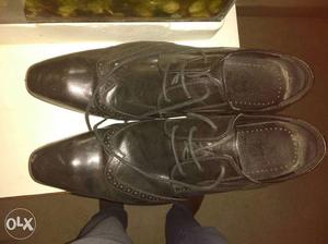 Ashley and barker Size 10 new formal leather shoes for sale.