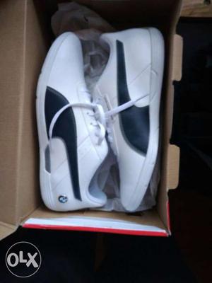 Puma bmw canvas shoes no damage new one not used
