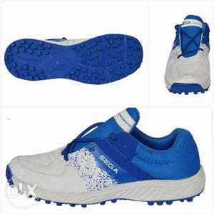 Unpaired White And Blue Sega Shoe