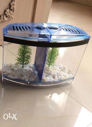 Betta Fish tank (Dual)