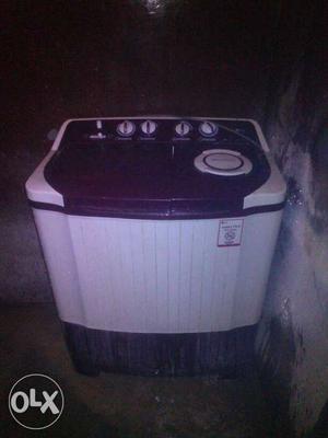Black And White Twin-tub Washing Machine
