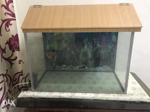 Clear Brown Wooden Pet Tank
