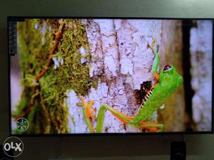 Dynamic Contrast 65" 4K Android Led Tv 2yrs Replacement