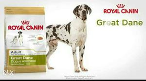 Great Dane foods available