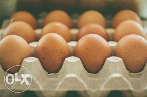 Naittu Kozhi egg 10 eggs price is Rs. 150