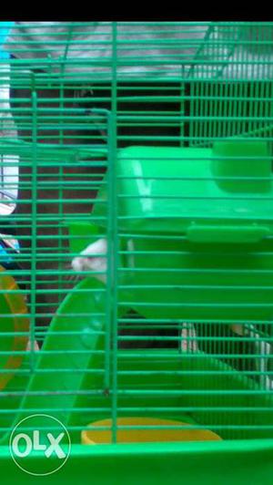 Small Szie Green Metal Pet Cage