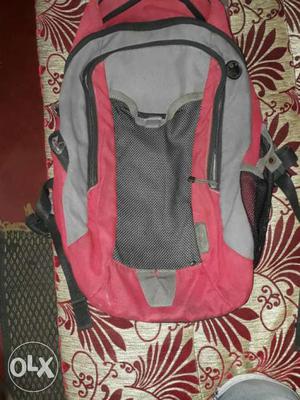 American Tourister OG Red And Gray Backpack