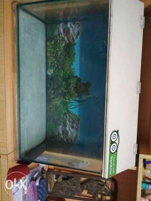 Fish Tank at its best price