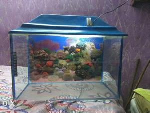 Fish aquariums
