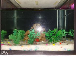 Fish tank with all accessories want to sell