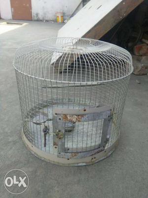 Gray And White Steel Bird Cage