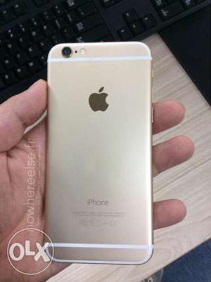 IPhone 6 16 GB Gold colour8 month cell not even a