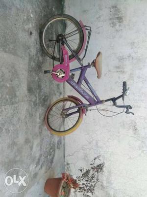Purple And Pink Cruiser Bicycle