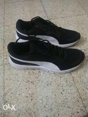 New puma shoe uk size 8 for sale.