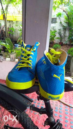 PUMA Limited Green & Blue Shoes, less used,