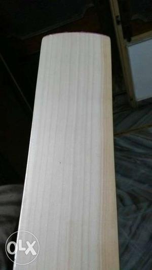 Spartan warrior MSD English Willow cricket with