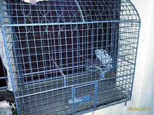 3ft/2.5 ft cage for birds and small pets. only