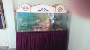 4 feet fish aquarium with steel stand for Sale