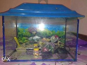 A complete fish tank L 24 B 24