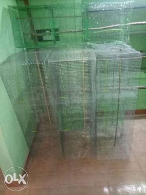 All Birds Cages for available