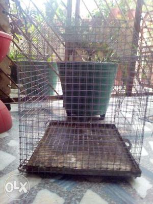 Birds Cage(Pinjra)Removable Tray.  inches.