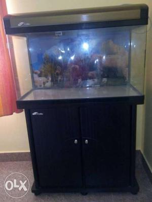 Black Wooden Framed Fish Tank With Base Cabinet