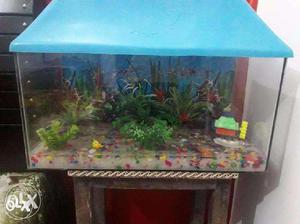 Blue Aquarium Tank with Heater