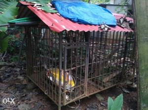 Brown And Red Metal Pet Cage