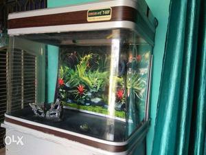 Brown Sobo T-60F fish tank