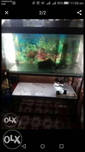 Clean aquarium with stand+water filter